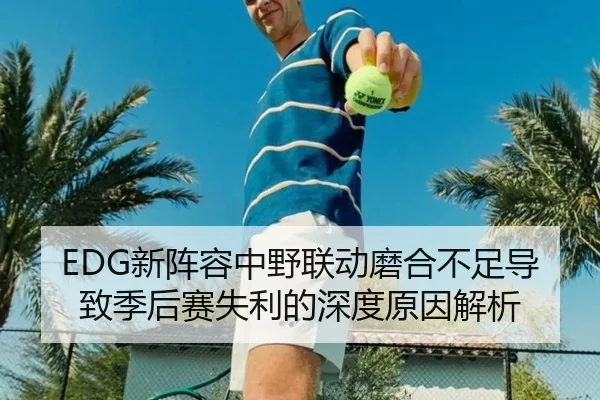 EDG新阵容中野联动磨合不足导致季后赛失利的深度原因解析（KaiyunEntertainment）